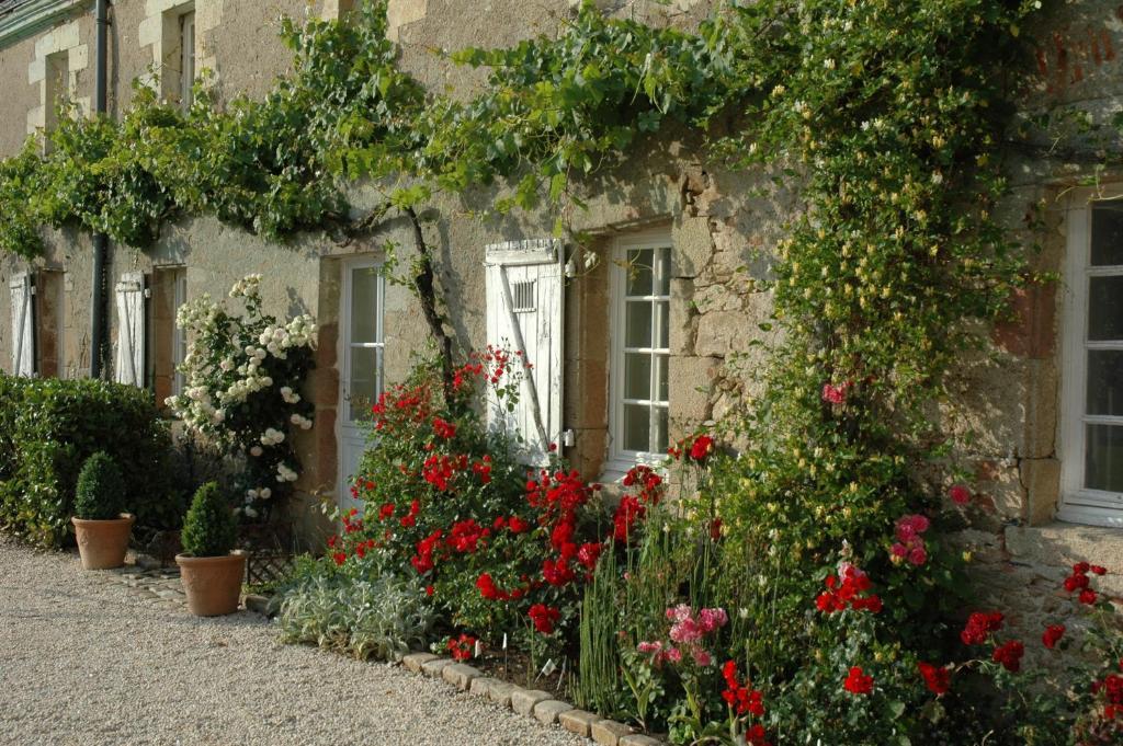 Chateau De L'Oiseliniere Gorges (Pays de la Loire) Exterior photo