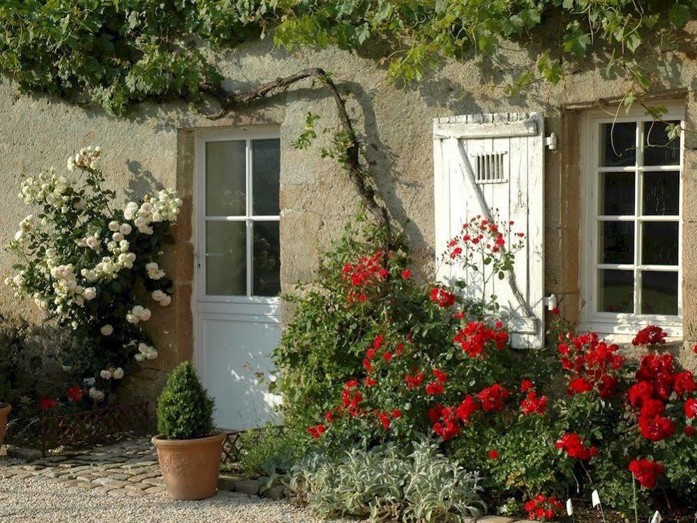 Chateau De L'Oiseliniere Gorges (Pays de la Loire) Exterior photo
