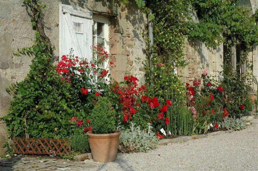 Chateau De L'Oiseliniere Gorges (Pays de la Loire) Exterior photo