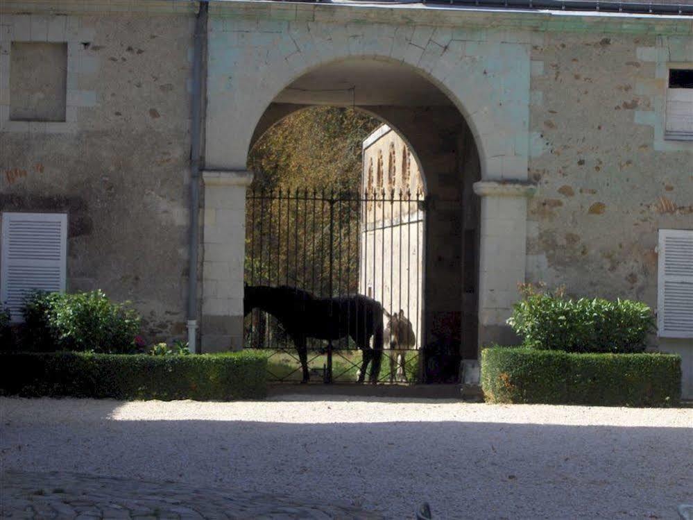 Chateau De L'Oiseliniere Gorges (Pays de la Loire) Exterior photo